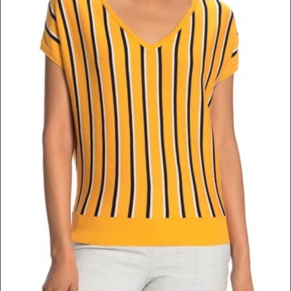 Philosophy Apparel Striped V-Neck Knit Top